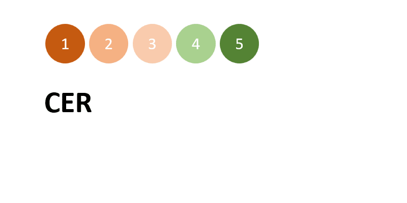 Wskaźnik CER (Customer Experience Rating)