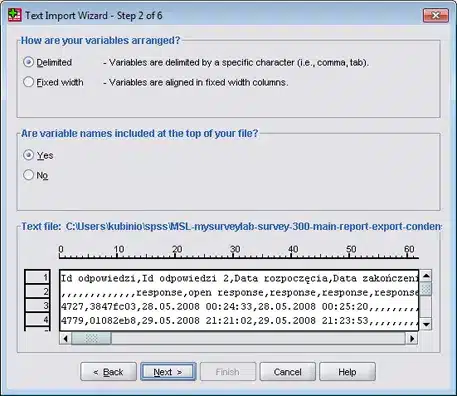 SPSS - CSV import tutorial (step 4)